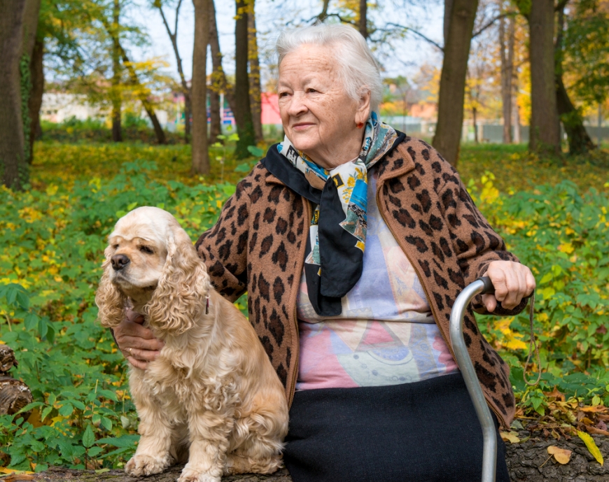 Бабушка с собакой