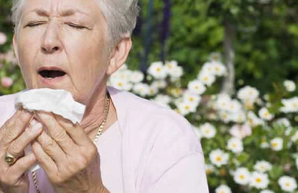 Аллергия у пожилых людей